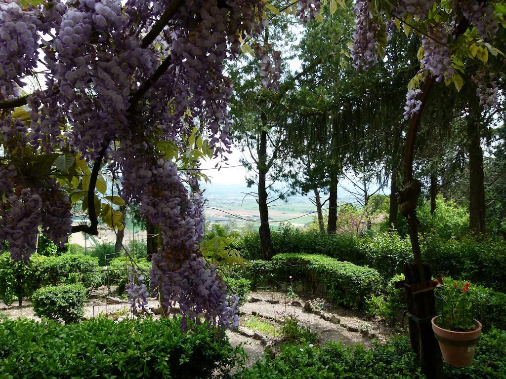 Casa Fiorita Bed & Breakfast Sant'Enea Ngoại thất bức ảnh