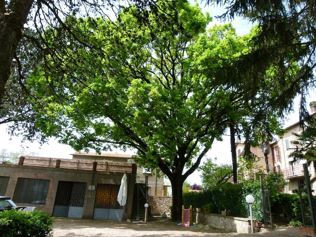 Casa Fiorita Bed & Breakfast Sant'Enea Ngoại thất bức ảnh