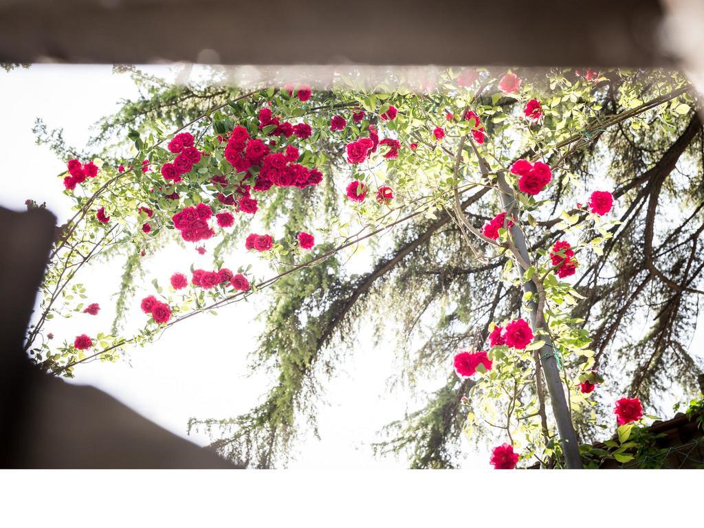 Casa Fiorita Bed & Breakfast Sant'Enea Ngoại thất bức ảnh
